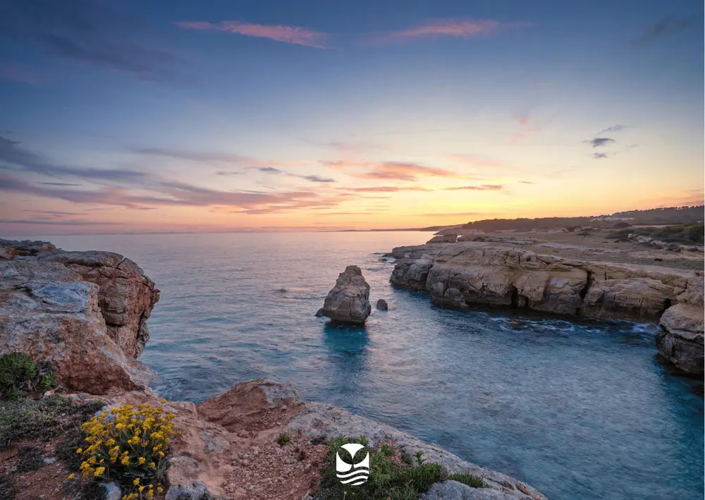 Voyage Plongée Espagne