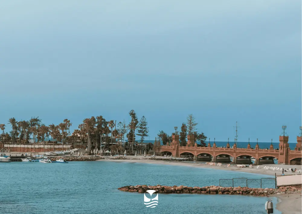 Voyage Plongée Egypte