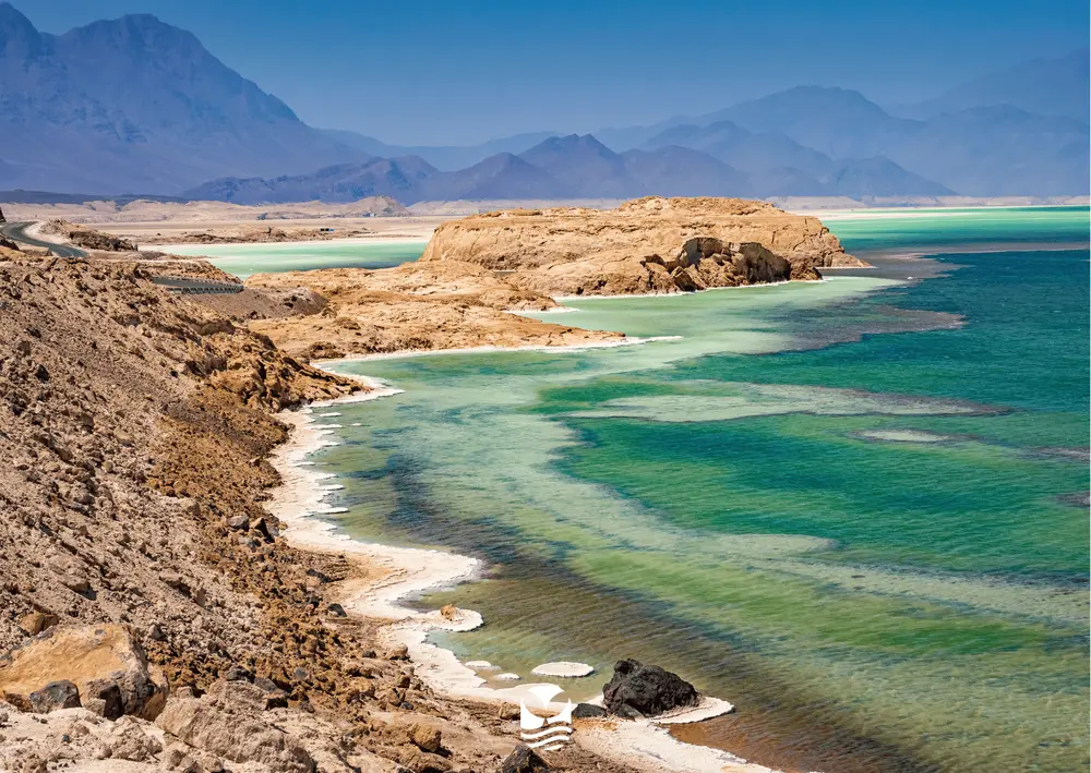 Voyage Plongée Djibouti