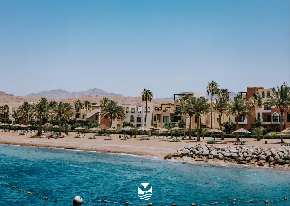 Voyage Plongée Jordanie