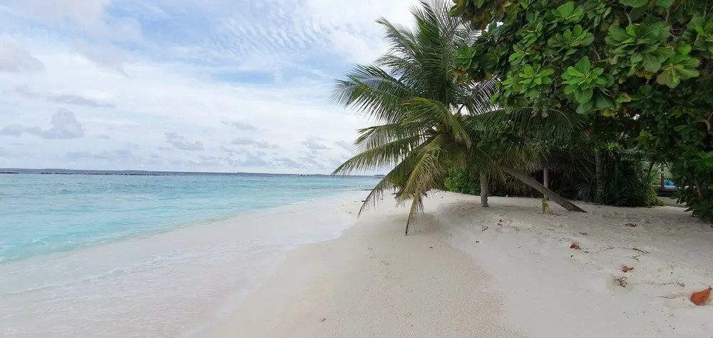 Maldives