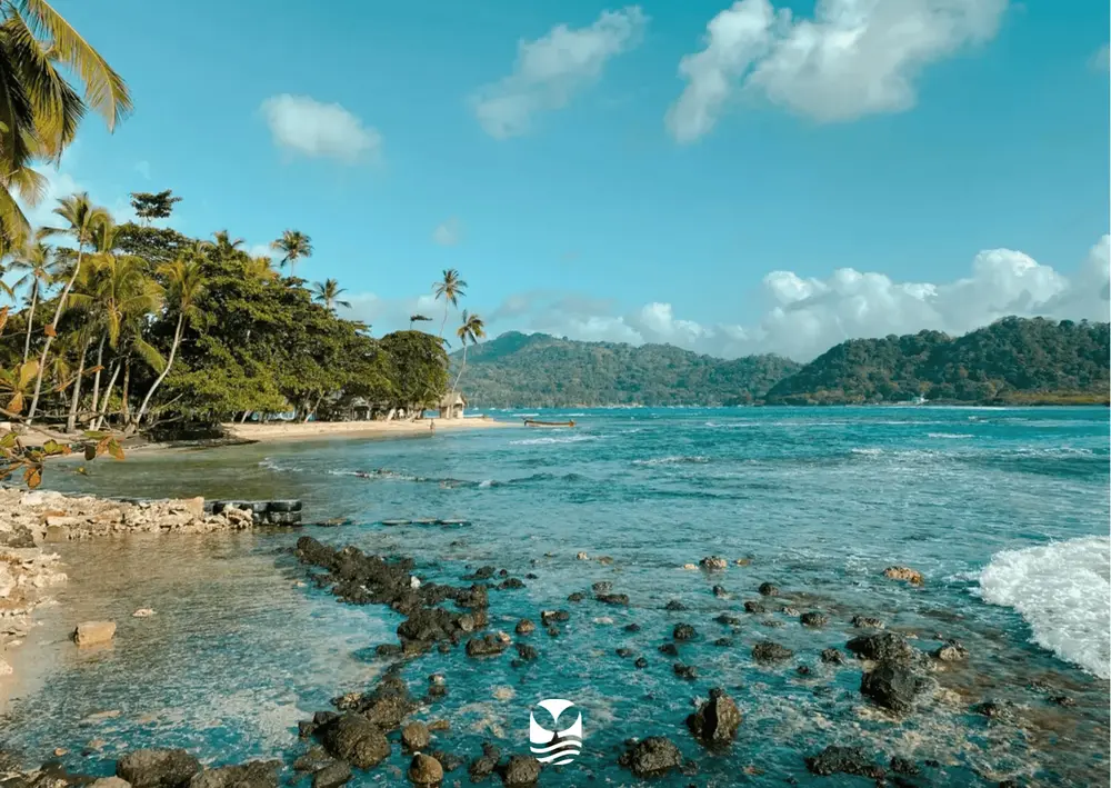 Voyage Plongée Polynésie