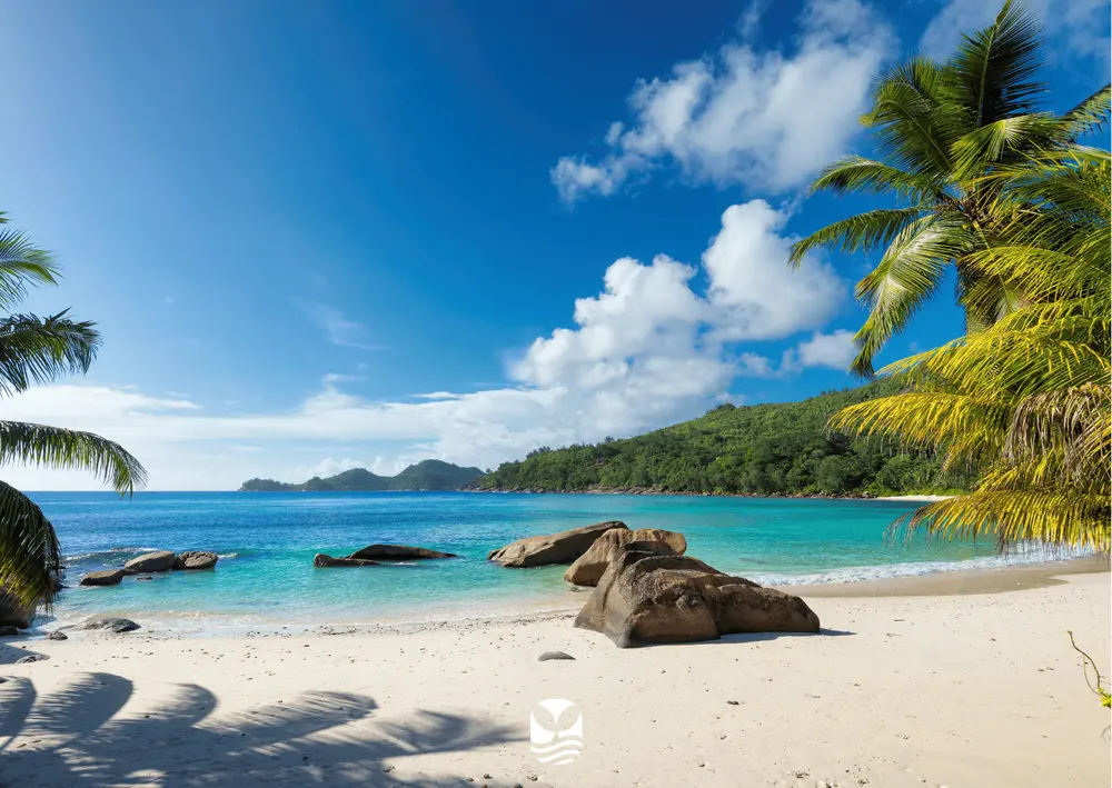 Voyage Plongée Bahamas