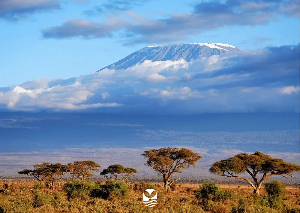 - Kenya -