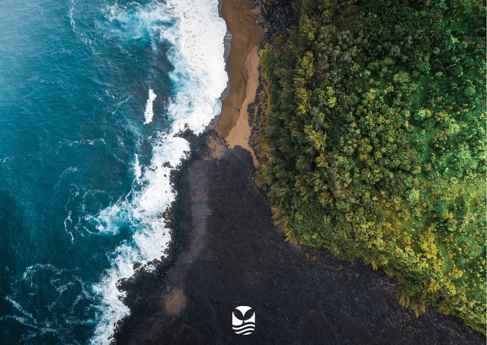 - Réunion -