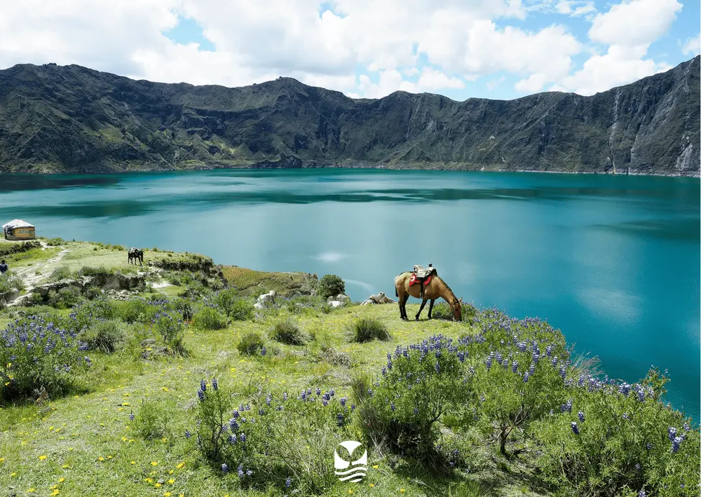 Voyage Plongée Equateur