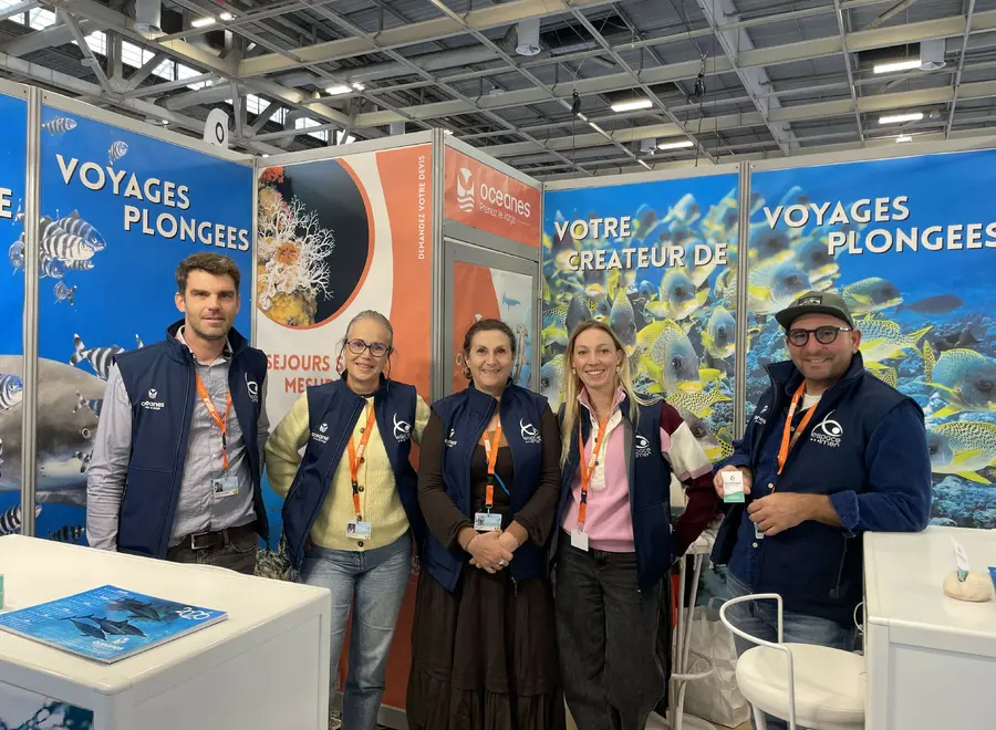 Bienvenue chez Océanes, votre créateur de voyages plongée