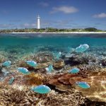 Plongée Nouvelle Calédonie avec oceanes.com